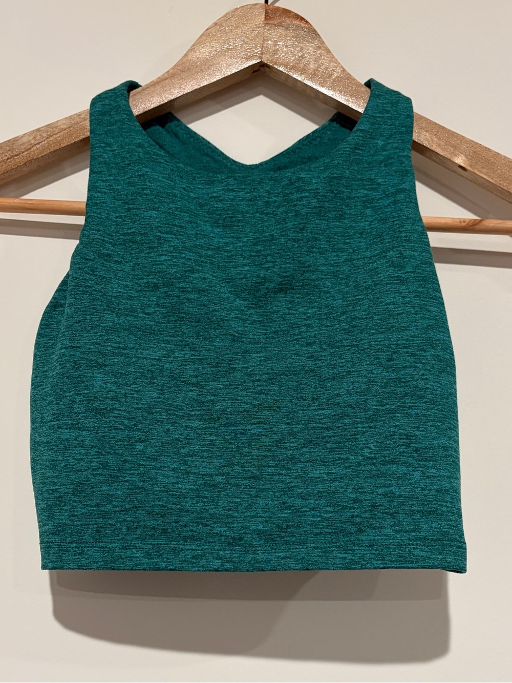 OFFLINE by Aerie The Hugger High Neck Cropped Tank Sports Bra Green XS